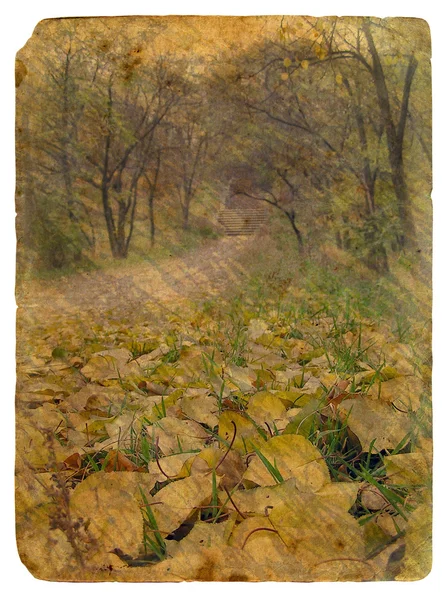 Sonbahar manzarası. eski kartpostal. — Stok fotoğraf