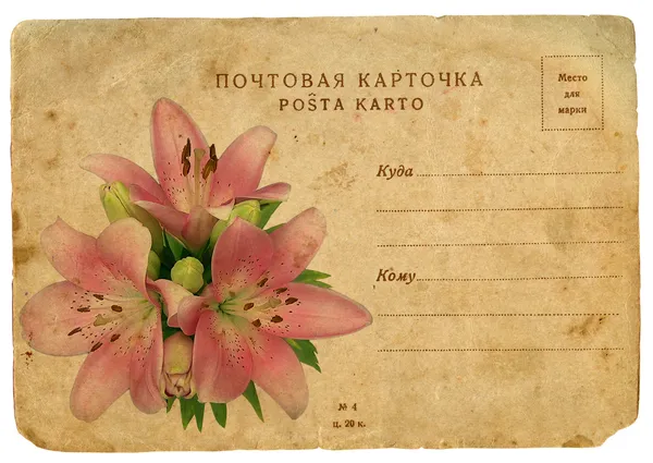 Blommande blomma i rosa lily. Gamla vykort — Stockfoto