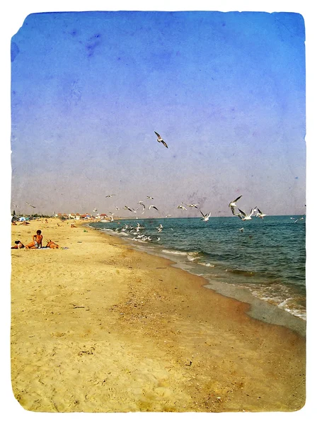 Martılar ile deniz manzarası. eski kartpostal — Stok fotoğraf