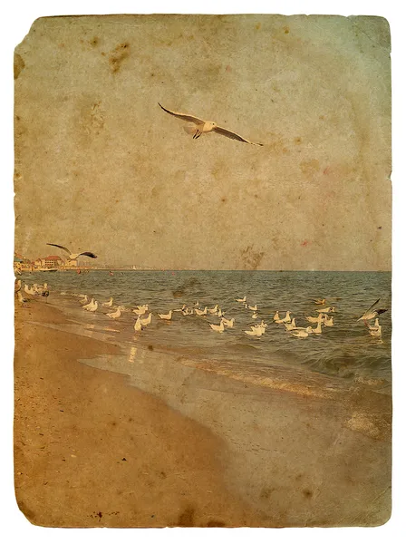 A paisagem marinha com gaivotas. Cartão postal antigo — Fotografia de Stock