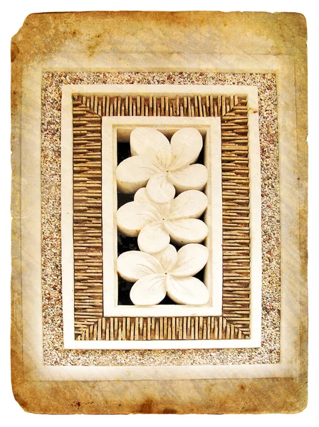 Flor tropical Plumeria. Tarjeta postal antigua . —  Fotos de Stock