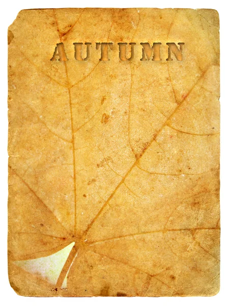 Φθινόπωρο φύλλο σφενδάμνου. παλιά καρτ-ποστάλ. — Φωτογραφία Αρχείου