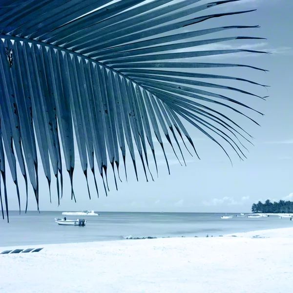 Tropisk strand. en färg bakgrundsbild — Stockfoto