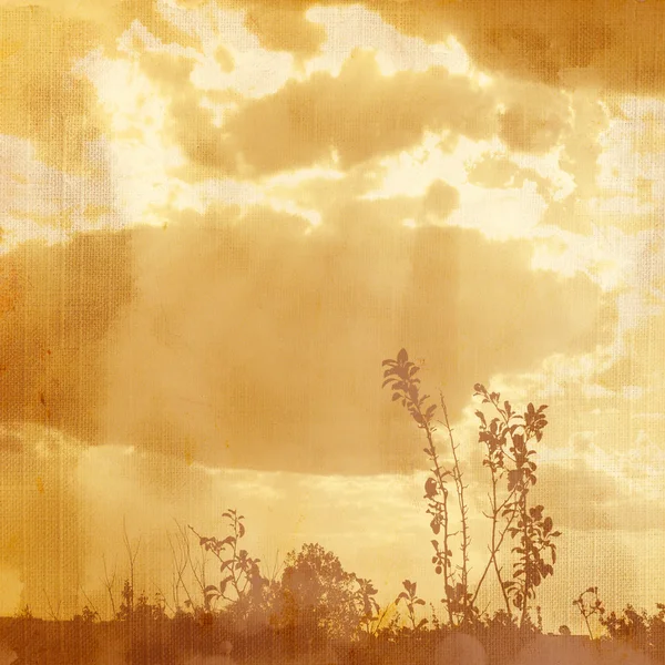 Фон с растениями и облаками . — стоковое фото