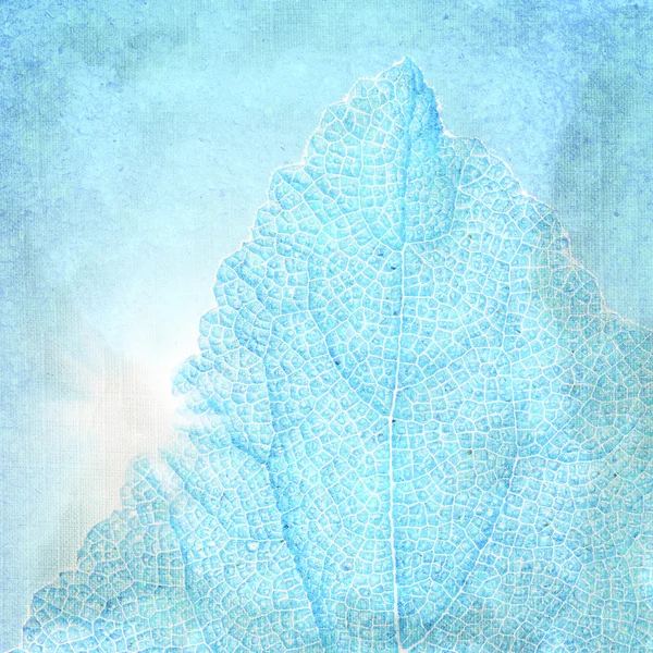 Niebieskim tle z teksturą liść — Zdjęcie stockowe