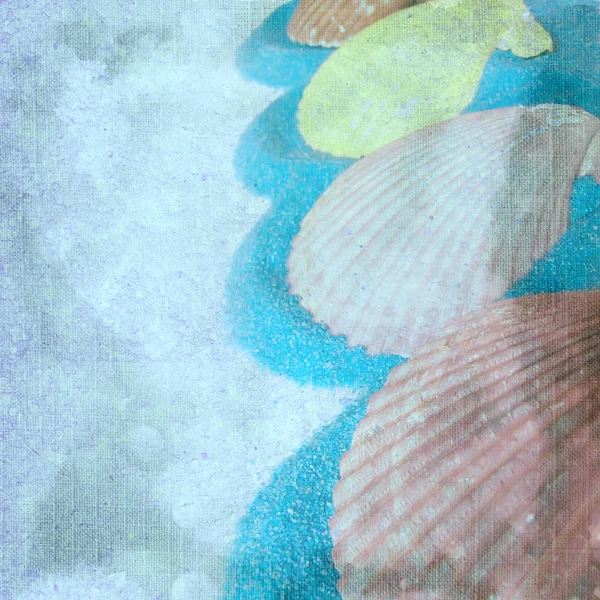 貝殻で正方形の背景 — ストック写真