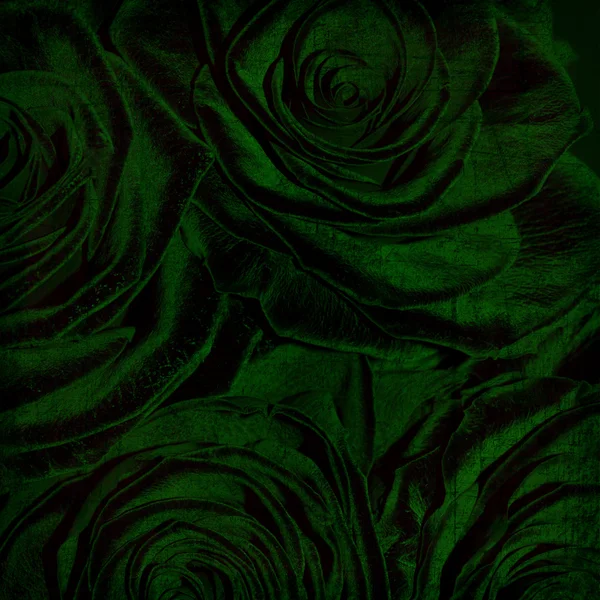 Fondo texturizado grunge abstracto con rosas — Foto de Stock