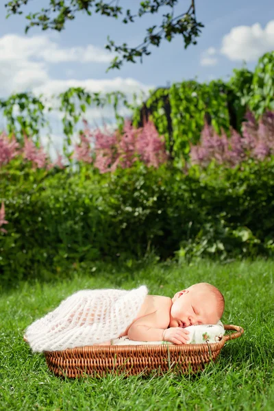0-7 Deys Baby. Neugeborenes Baby, schläft im Korb, im Freien. — Stockfoto