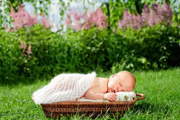 Nyfödda barn sover i korg Royaltyfria Stockfoton