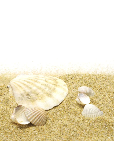 Sand och hav gränsar — Stockfoto