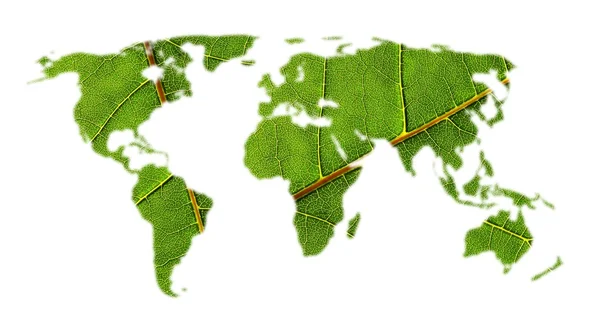 Mapa do mundo com textura de folha — Fotografia de Stock