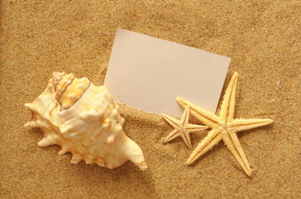 Sulla spiaggia — Foto Stock