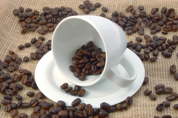 Кубок с кофейными зёрнами — стоковое фото