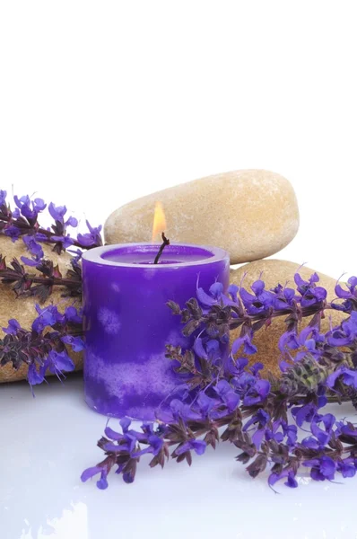 Lavendar spa koncept — Zdjęcie stockowe