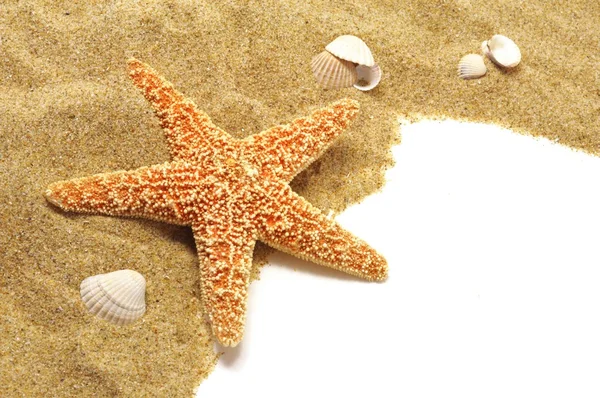 Граница песка и морской звезды — стоковое фото