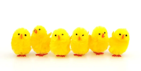 Decorazioni di pollo di Pasqua — Foto Stock