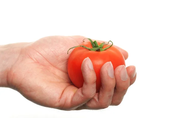 拿番茄的手 — 图库照片