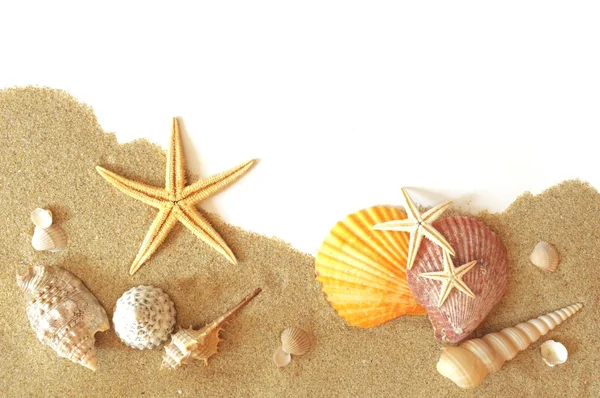 Граница песка и морской звезды — стоковое фото