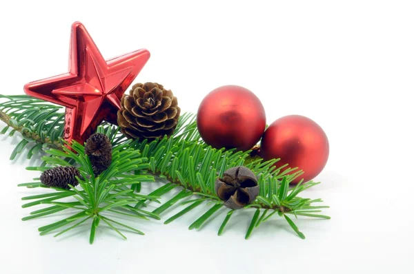 Vánoční větev s míčem — Stock fotografie