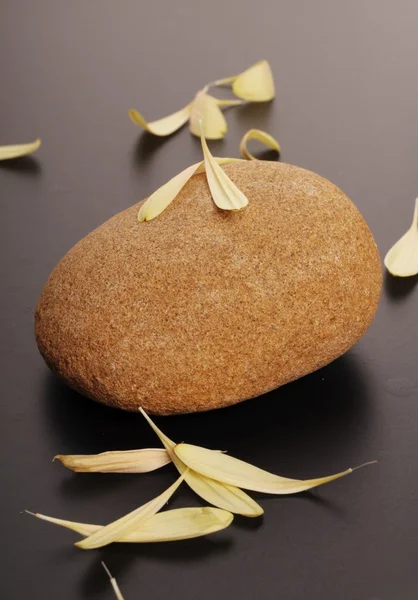 Gula kronblad på stenar — Stockfoto