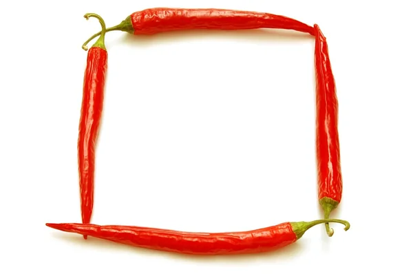 Červené chilli rám samostatný — Stock fotografie