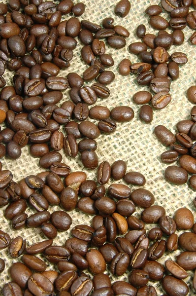 Granos de café en arpillera —  Fotos de Stock