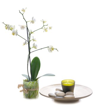 Spa still life with orchid clipart