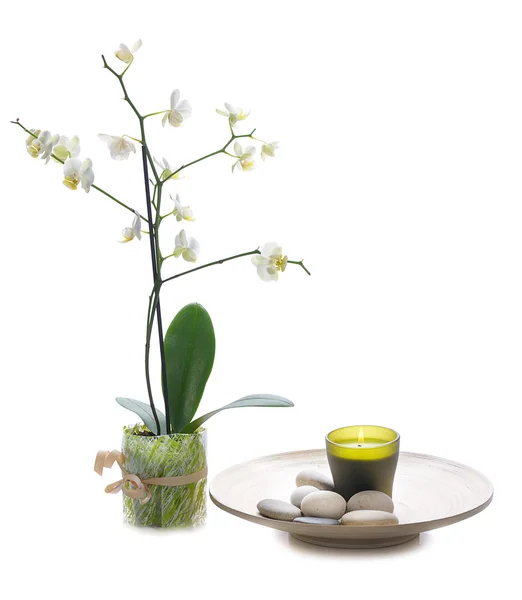 Spa Stilleven met orchidee — Stockfoto