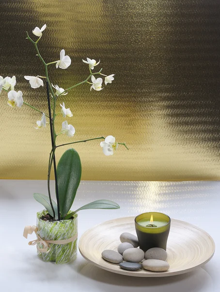 Spa orkide ile natürmort — Stok fotoğraf