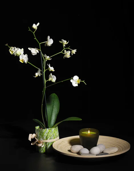 Spa naturaleza muerta con orquídea — Foto de Stock