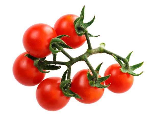 Körsbär tomat — Stockfoto