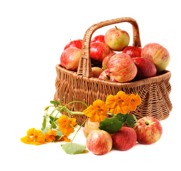 Äpfel im geflochtenen Korb — Stockfoto