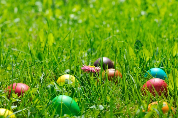 Jaja wielkanocne w zielonej trawie — Zdjęcie stockowe