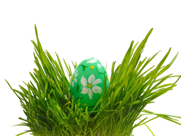 Easter eggs in green grass — Stock Photo, Image