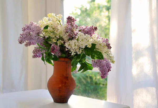 Lilac in jug — Stock Photo, Image