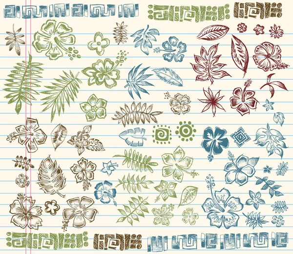 Conjunto de vetores de elementos de doodle de esboço de verão tropical —  Vetores de Stock
