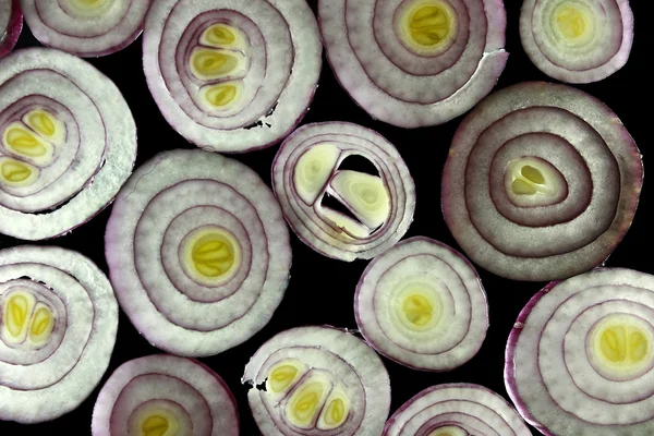 stock image Onions rings