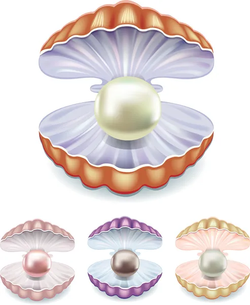 设置不同的颜色的贝壳中的珍珠的 — 图库矢量图片