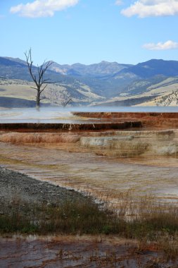 Yellowstone Milli Parkı