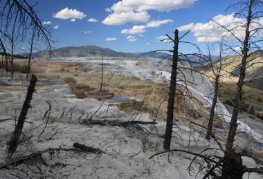 yellowstone np mamut hot springs