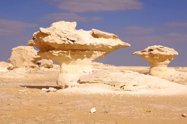 Білий пустелі статуя — стокове фото