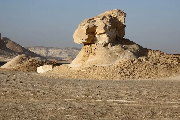 Estatua blanca del desierto Fotos De Stock Sin Royalties Gratis