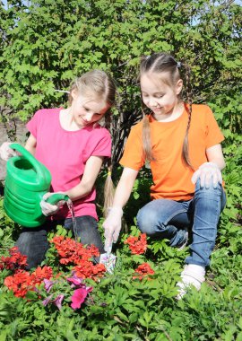 Küçük yardımcılar