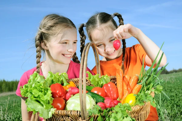 Two girls with basket of vegetables — Stock Photo, Image
