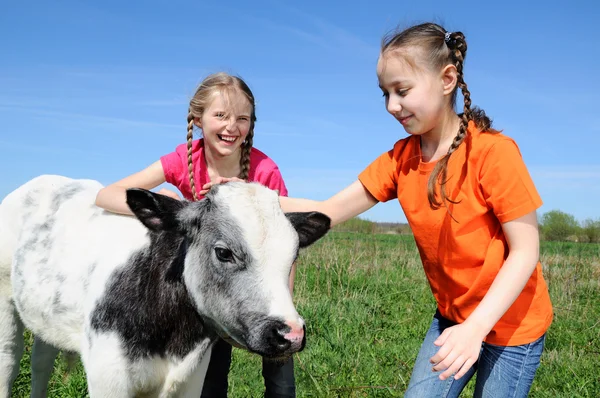 stock image Little girls with calf