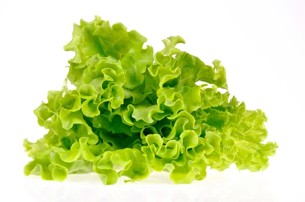 Zelený salát — Stock fotografie