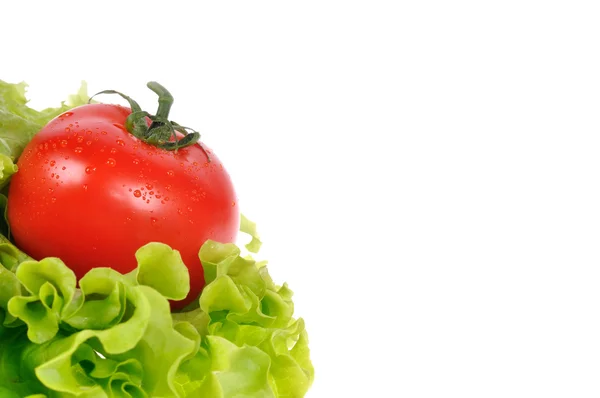 Red tomato with green salad — Stock Photo, Image