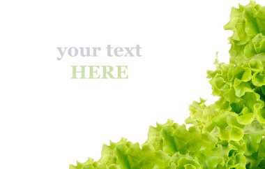 Fresh green salad isolated on white background clipart