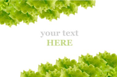 Fresh Green Salad frame clipart