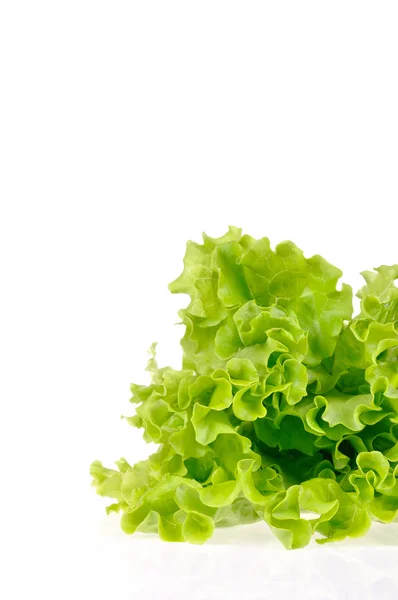 Πράσινη σαλάτα που απομονώνονται σε λευκό φόντο — Φωτογραφία Αρχείου